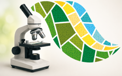 Ieder zondag Microscopie met Dr. Dolk