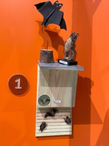 Creatief atelier – Vleermuis knutselen